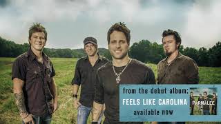 PARMALEE Another Day Gone Official Audio [upl. by Faina]