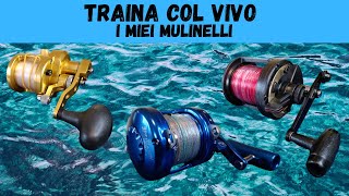 TRAINA COL VIVO  I MIEI MULINELLI [upl. by Schulein]