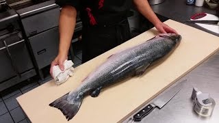 How to Filet a Whole Salmon [upl. by Grizelda]