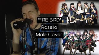 ”FIRE BIRDquot  Roselia  Male Cover [upl. by Sadnak]