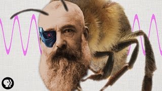 How Artist Claude Monet Was Kind Of Like a Honeybee [upl. by Domel]