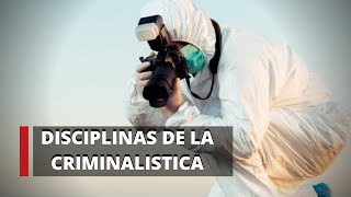 Disciplinas de la Criminalística  Criminalística [upl. by Igig]