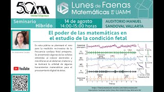 El poder de las matemáticas en el estudio de la condición fetal [upl. by Atteloj658]