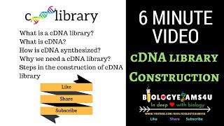 cDNA Library Construction Steps and Advantages 6 minutes [upl. by Rebliw]