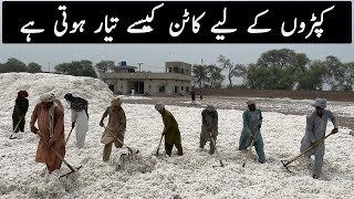 How Cotton is Processed in Factories  The Cotton Ginning Process in Pakistan [upl. by Cornell]