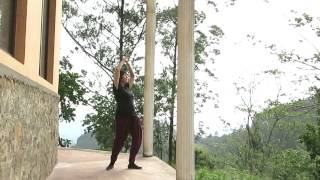 Qigong Shibashi I revisited HD [upl. by Ahsila]