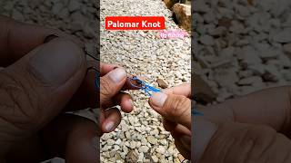 Strongest fishing Knot in the world  Palomar Knot [upl. by Dagney]