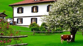 🇨🇭Switzerland Countryside  Walking in a Swiss Farm House [upl. by Hepzi]