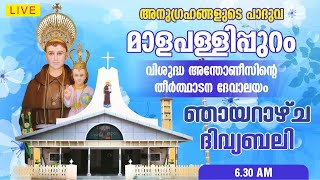 3 NOVEMBER 2024 sundy HOLY MASS  ST ANTONYS PILGRIM CHURCH MALAPALLIPURAM [upl. by Annayt]