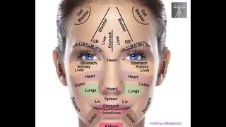 Facial Analysis [upl. by Abla430]