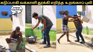 கடுப்பாகி வக்காளி தூக்கி எறிந்த உறங்காப் புலி [upl. by Atiran]