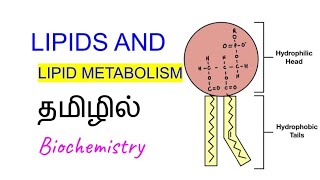 LIPIDS AND LIPID METABOLISM IN TAMIL [upl. by Barvick]