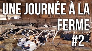 UNE JOURNÉE A LA FERME 2 [upl. by Hsemar10]