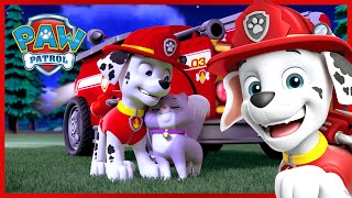 Marshalls Animal Rescue Moments and More  PAW Patrol  Cartoons for Kids Compilation [upl. by Bennett]