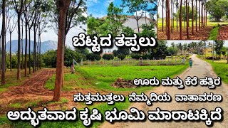 🔴SOLD🔴BEAUTIFUL FARM LAND SALE NEAR BENGALURU 27 KM FROM KENGERI SUITABLE FOR FARMHOUSE [upl. by Ambrosius]