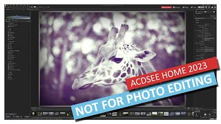 ACDSee Photo Studio Home 2023 Review  Buy Professional Instead [upl. by Lauder]