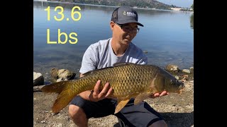 136 lb Carp Fishing Bonelli Park Puddingstone Lake [upl. by Abbotson]