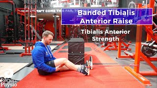 Banded Tibialis Anterior Raise [upl. by Terris]