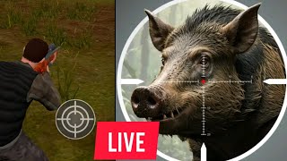 ANIMAL HUNTER LIVE STREAM shortfeed varticallive [upl. by Atinar935]