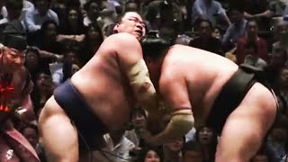 Aki Basho 2024 Day 3 Abi vs Hiradoumi [upl. by Znerol]