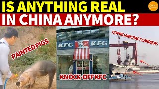 Painted Pigs Knockoff KFC Fake CocaCola Copied Carriers Is Anything Real in China Anymore [upl. by Hefter]