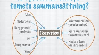 Ekosystem gammal [upl. by Dixon207]