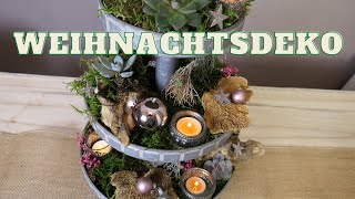 Weihnachtsdeko auf der Etagere  Winterdeko Idee mit Moos Pfeffer und Pilzen  DIY Thymianbäumchen [upl. by Eseuqcaj]