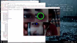 IRIS Detection Using Open CV amp Python [upl. by Ahsieka]