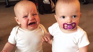 Twin Baby Girls Fight Over Pacifier  Cutest Babies  KYOOT [upl. by Nataniel975]