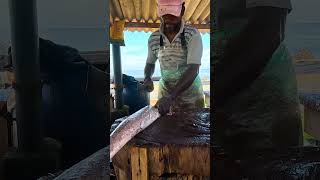 Live Mackerel Fish Cutting Skills  MrJude shorts [upl. by Noirad761]