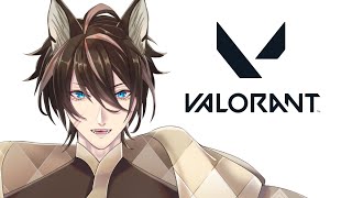 【VALORANT】Solow Valo【燈鮫ラスク】 [upl. by Auhsohey94]