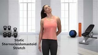 How to do a Sternocleidomastoid Stretch [upl. by Stolzer978]