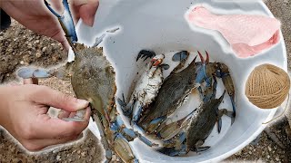 Crabbing Hand Line using ONLY chicken DRUMSTICKS and STRING [upl. by Unders]