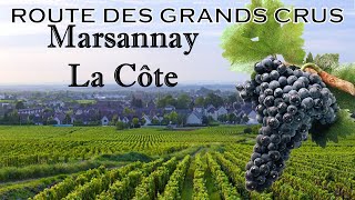 Route des Grands Crus  MARSANNAYLACOTE [upl. by Soutor]