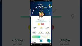 Pokémon GO Wild Area 2024 Pokémon Haul shinypokemon pokemon shinypokemon pokemongo pokémon [upl. by Gassman]