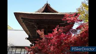 241109 鷹狩山からの北アルプス、霊松寺のお庭の紅葉 [upl. by Hctub345]