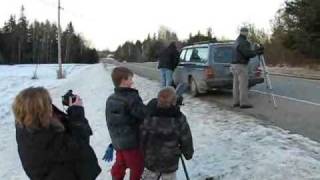 Viewing the Hawk Owl in Maine [upl. by Clarhe]