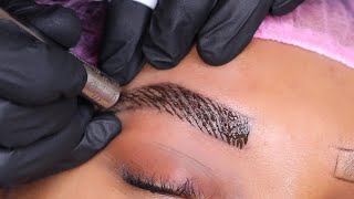 Microblading  The BEST Technique [upl. by Ailemrac]