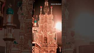 Imam Bargah Qasr Masomeen Chiniot Mohala Qazin Ziarat 9 Muharram 2024 shortvideo unfreezemyacount [upl. by Christabelle]