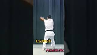 Asai Tetsuhiko Hangetsu karate martialarts Kata [upl. by Oivlis]