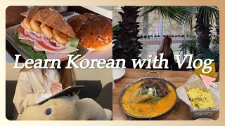 Sub Learn Korean with Vlog for beginners Ep8 [upl. by Luht866]