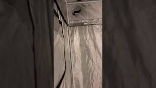 Gorilla Grow Tent 10x10 Set Up Video 4 [upl. by Nadnal931]