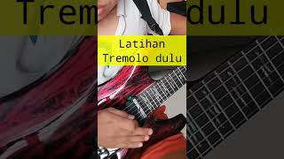 WHAMMY BAR TIPS gitar Mejerit‼️ [upl. by Russel738]