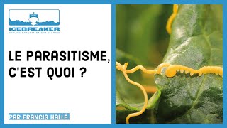 14 Questce que le parasitisme [upl. by Mages]