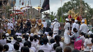 Katuran Ring Jagat Sulangai  Rabu 23 Oktober 2024  Mejaba Kuta Hari Ke 68 [upl. by Enrev620]