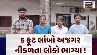 Surat News Update  5 ફૂટ લાંબો અજગર નીકળતા લોકો ભાગ્યા   Haripura  Python  Gujarati News  N18V [upl. by Abas]