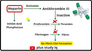 Heparin Anticoagulant a brief Introduction Plus study iq [upl. by Giraldo3]