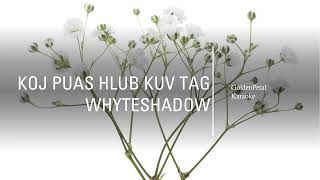 Whyteshadow  Koj puas hlub kuv tag karaoke [upl. by Nadbus]