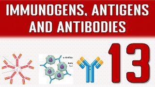 IMMUNOGENS ANTIGENS AND ANTIBODIES [upl. by Eltsryk]