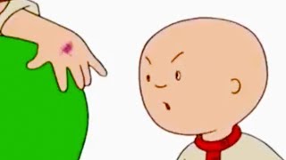 Caillou en français  Caillou et laccident  conte pour enfant  dessin anime [upl. by Kaleb]